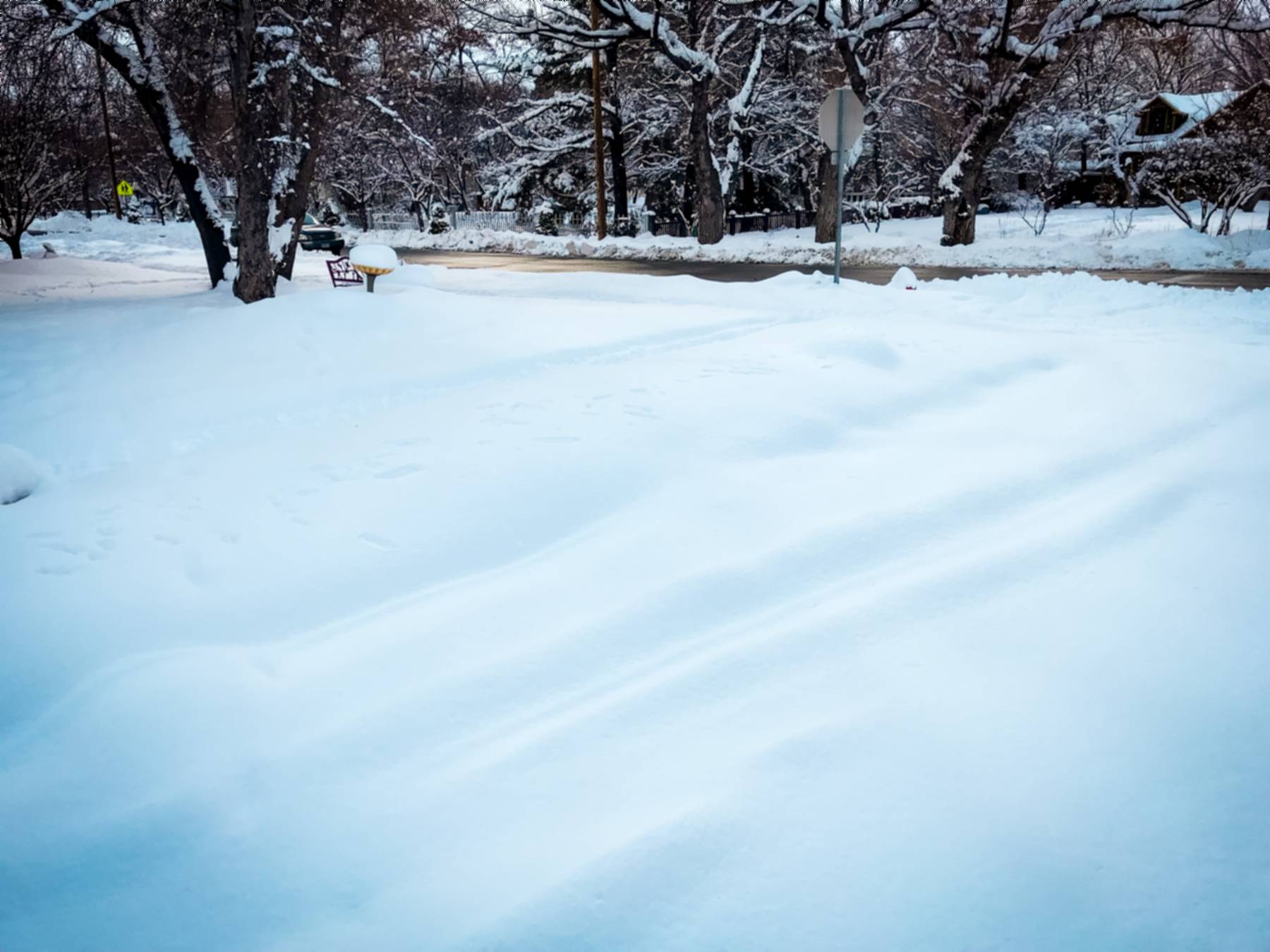 Snow Around Carson – Around Carson